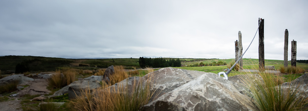 Sustainability Hero2.png